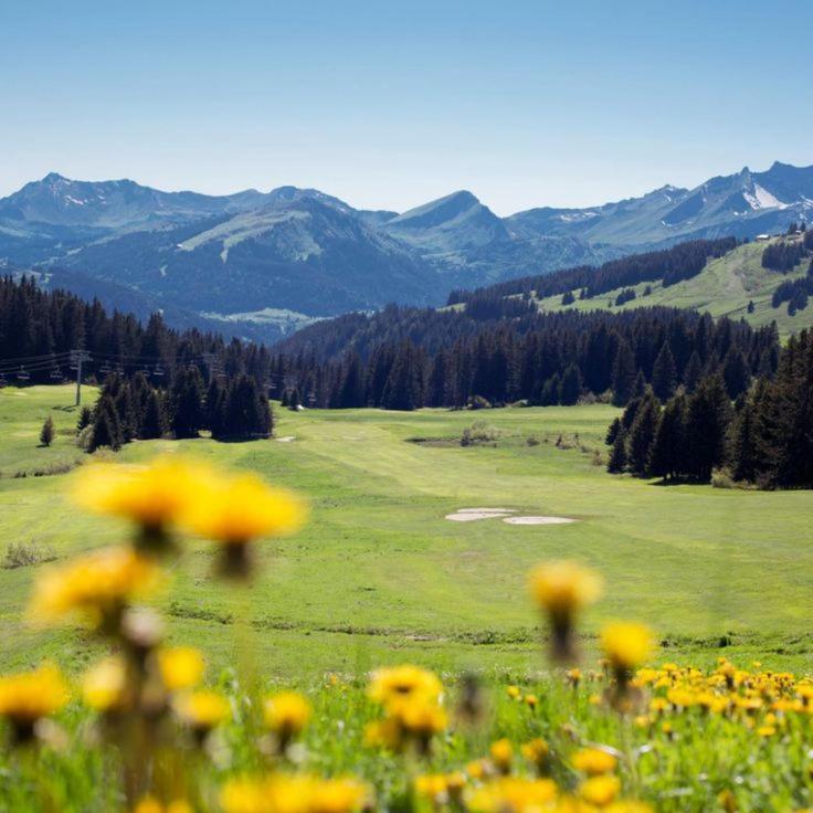Chalet Genepi Монрйон Екстер'єр фото